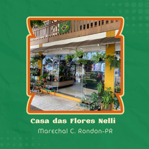 Casa das Flores Nelli